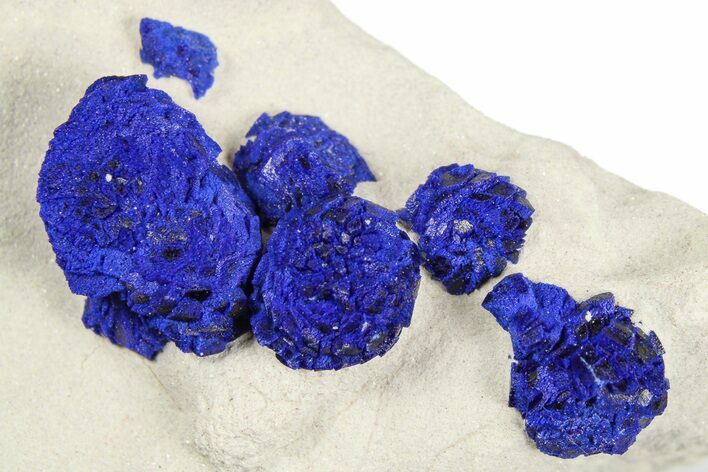 Vibrant Blue Azurite Suns on Siltstone - Australia #254043